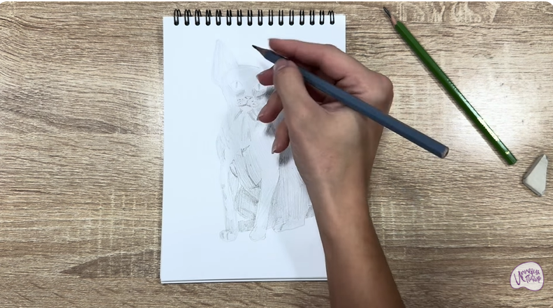 Рисуем Девон Рекс