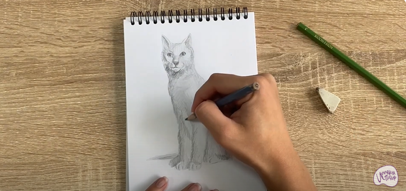 Рисуем Турецкая ангора