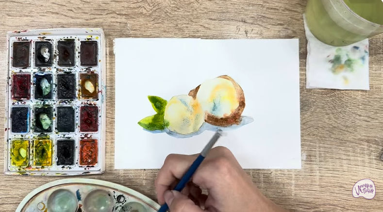 Рисуем Макадамия