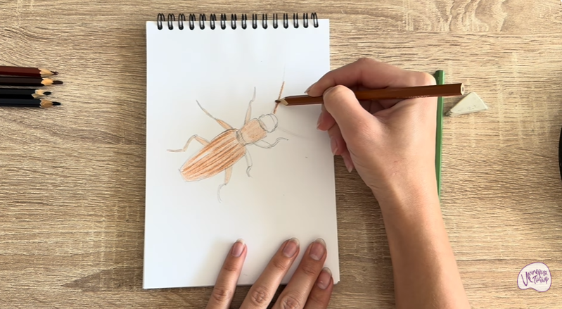 Рисуем Мукоед