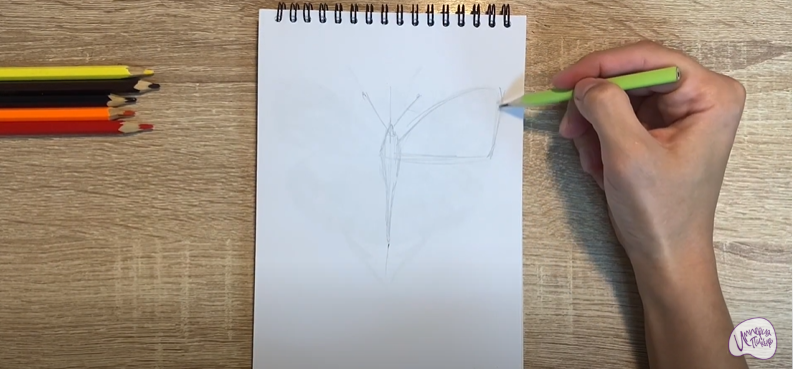 Рисуем Желтушка луговая