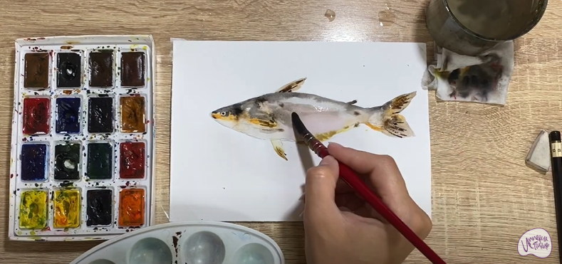 Рисуем Пангасиус