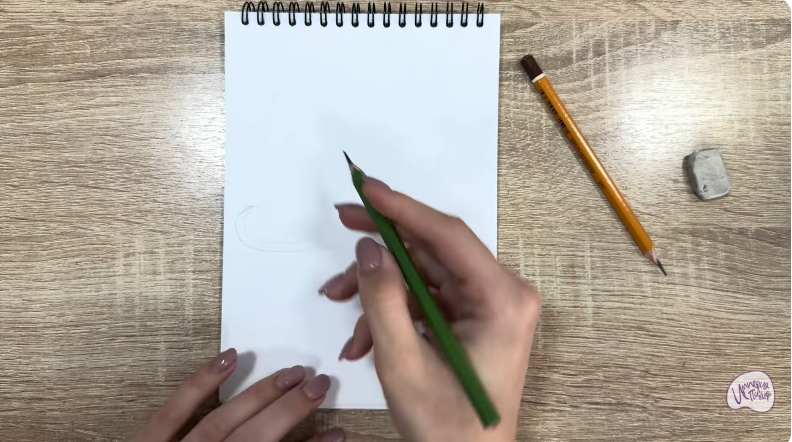 Рисуем Кот породы "Корат"