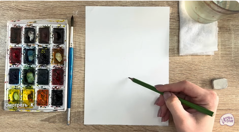 Рисуем Мирт обыкновенный