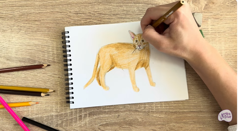 Рисуем Кот породы Оцикет