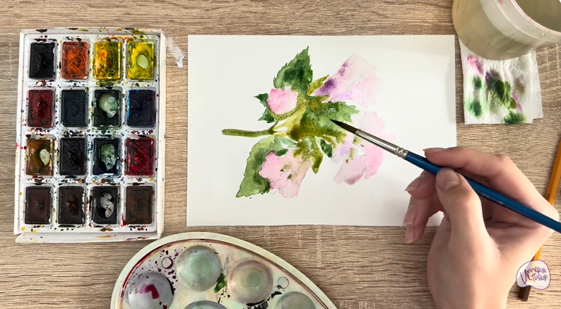 Рисуем Алтей лекарственный