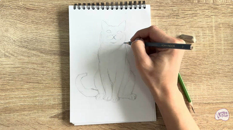 Рисуем Кот породы Шартрез