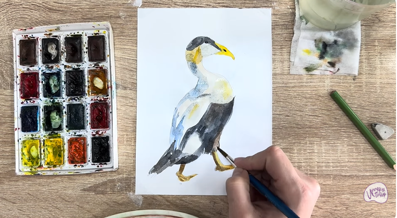 Рисуем Обыкновенная гага