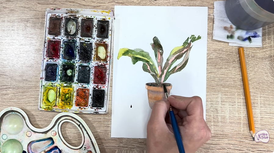 Рисуем Кротон в горшке