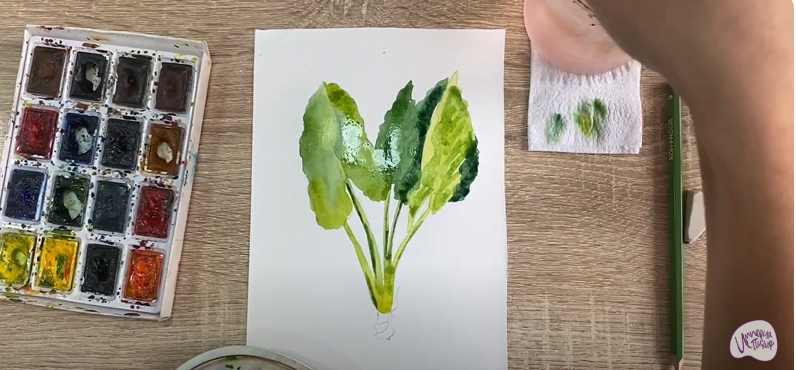 Рисуем Алоказия