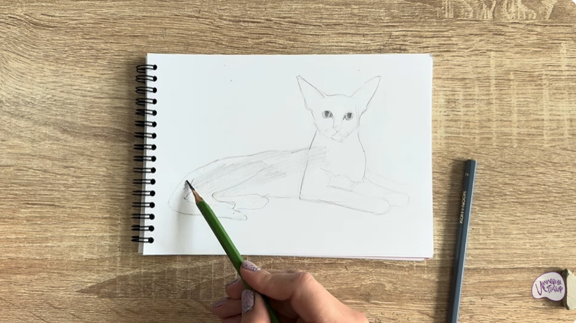 Рисуем Ориентальная кошка
