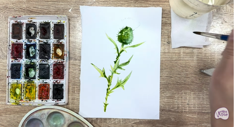 Рисуем Бодяк