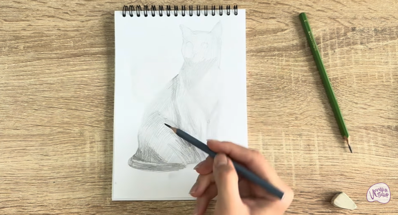 Рисуем Бурманский кот