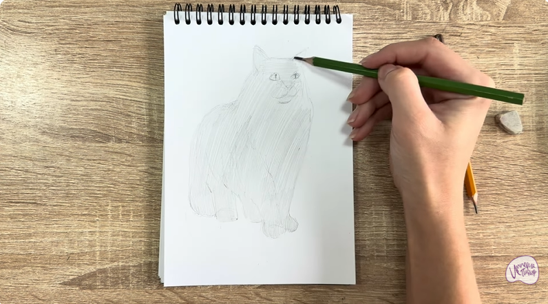 Рисуем Норвежский лесной кот
