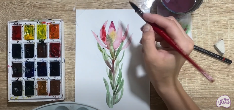 Рисуем Цветок "Леукадендрон"
