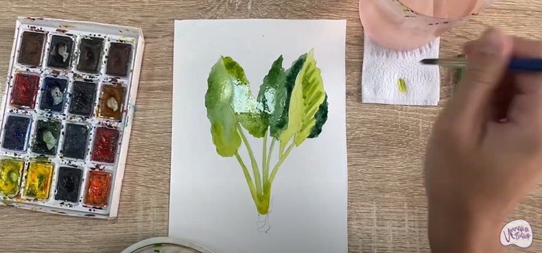 Рисуем Алоказия