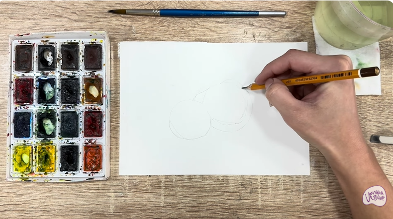 Рисуем Макадамия