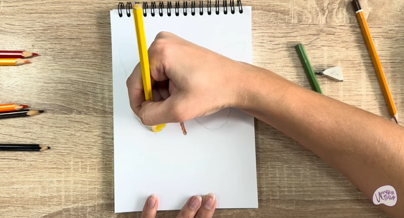 Рисуем Малинница обыкновенная