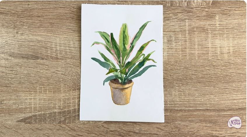 Рисуем Кордилина