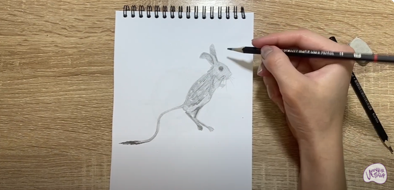 Рисуем Тушканчик