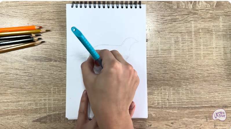 Рисуем Канадская дикуша