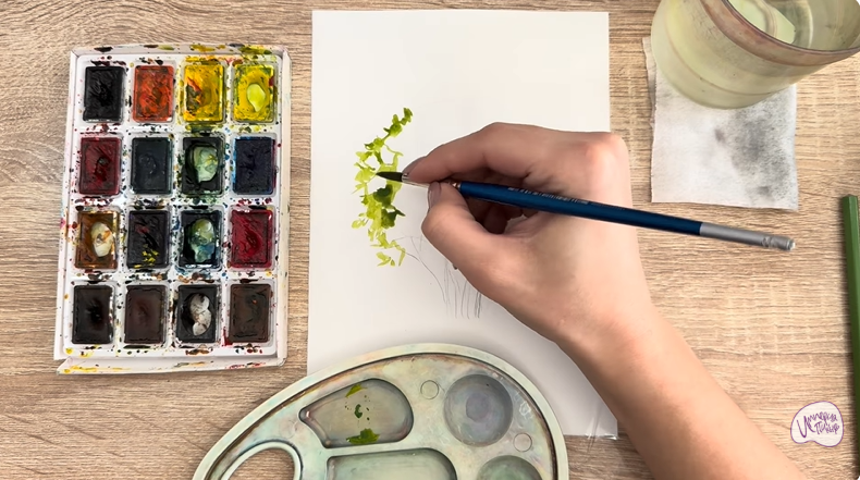 Рисуем Саженец бирючины