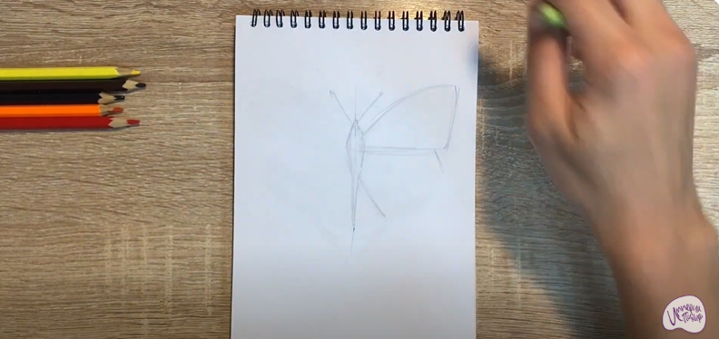 Рисуем Желтушка луговая