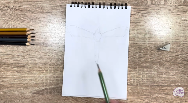 Рисуем Огнёвка зерновая