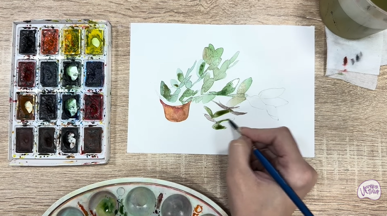 Рисуем Пеллиония в горшке