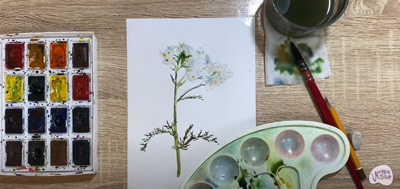 Рисуем Тысячелистник