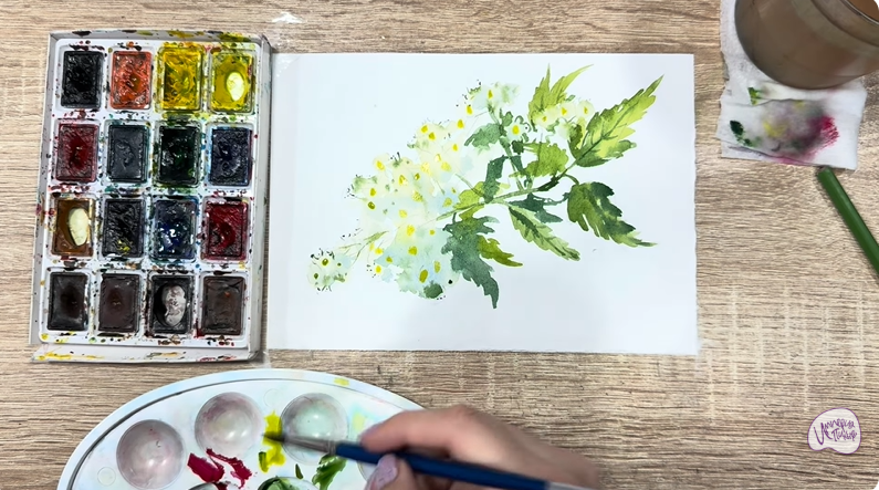 Рисуем Таволга