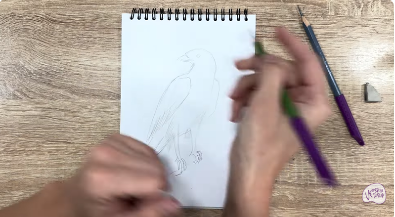 Рисуем Хохлатый осоед