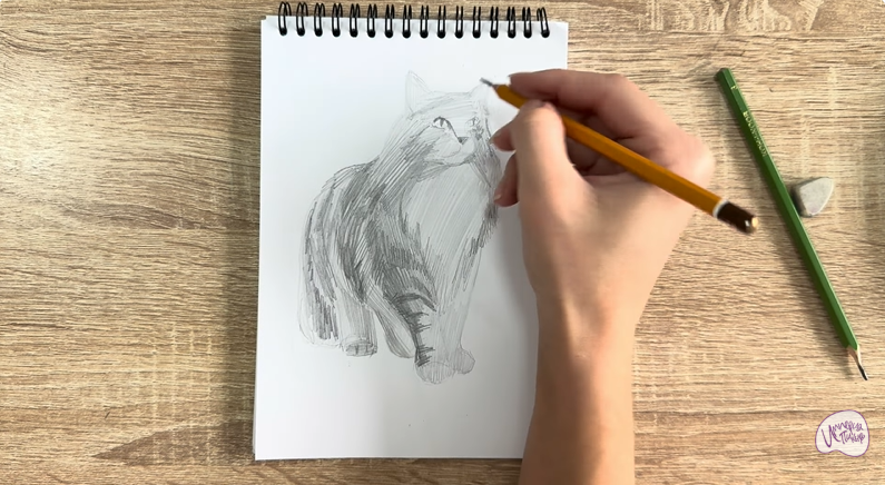 Рисуем Норвежский лесной кот