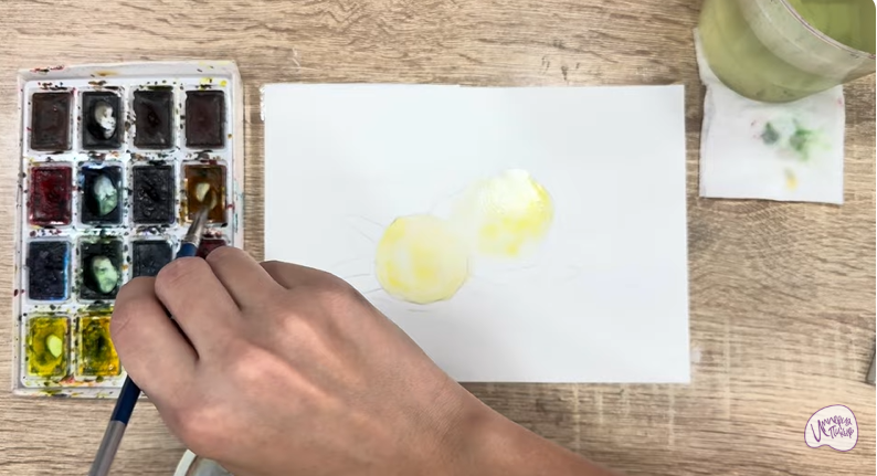 Рисуем Макадамия