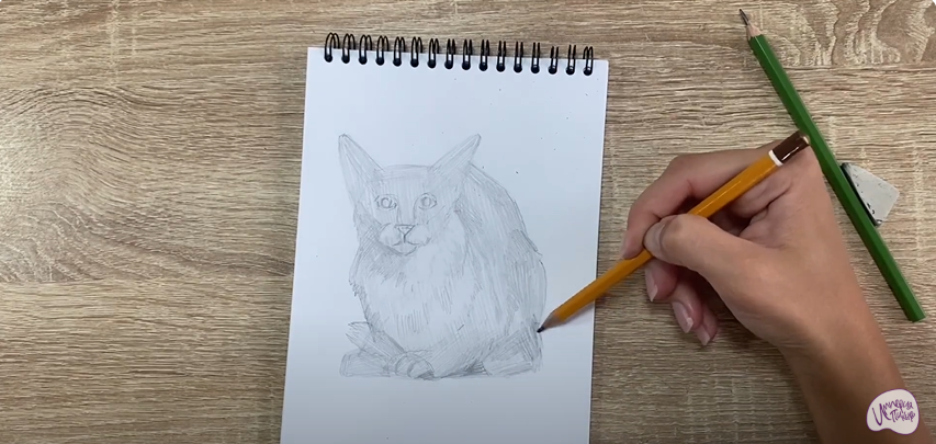 Рисуем Балинезийская кошка