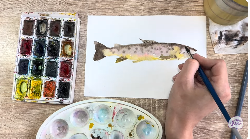 Рисуем Кумжа