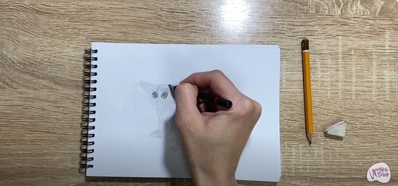 Рисуем Галаго