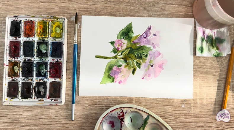 Рисуем Алтей лекарственный