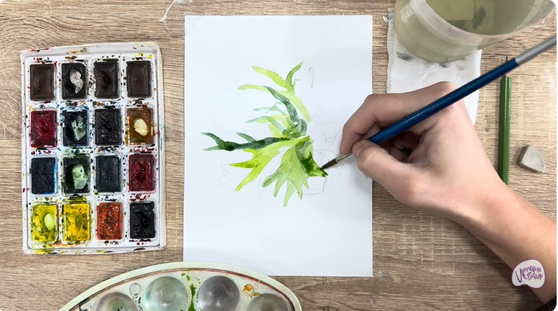 Рисуем Платицериум в горшке