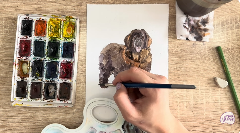 Рисуем Собака породы Ньюфаундленд