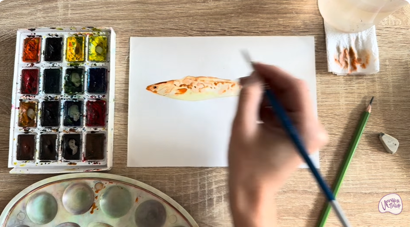 Рисуем Конгрио