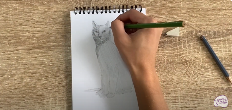 Рисуем Турецкая ангора
