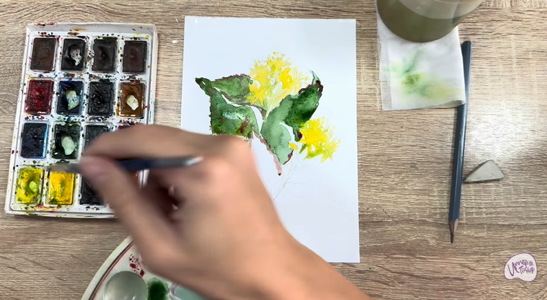 Рисуем Диервилла