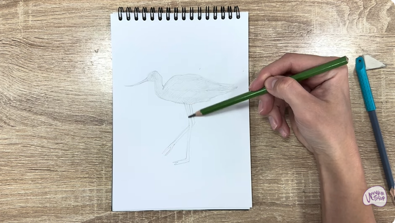 Рисуем Шилоклювка