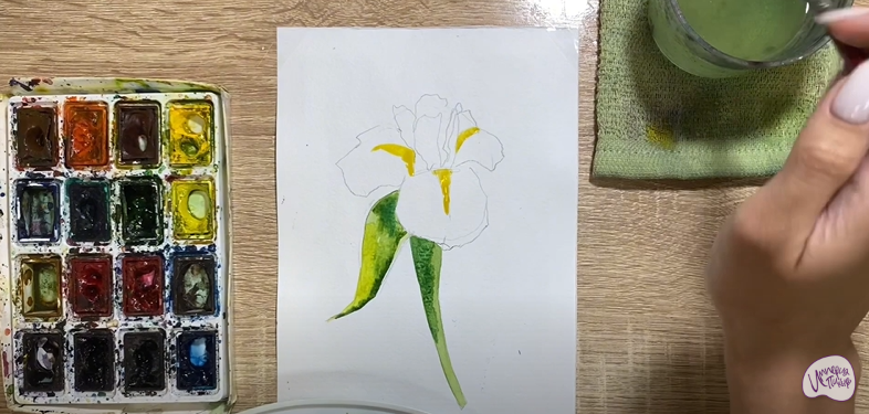Рисуем Ирис