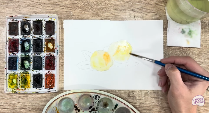 Рисуем Макадамия