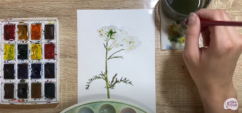 Рисуем Тысячелистник