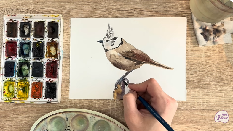 Рисуем Хохлатая синица