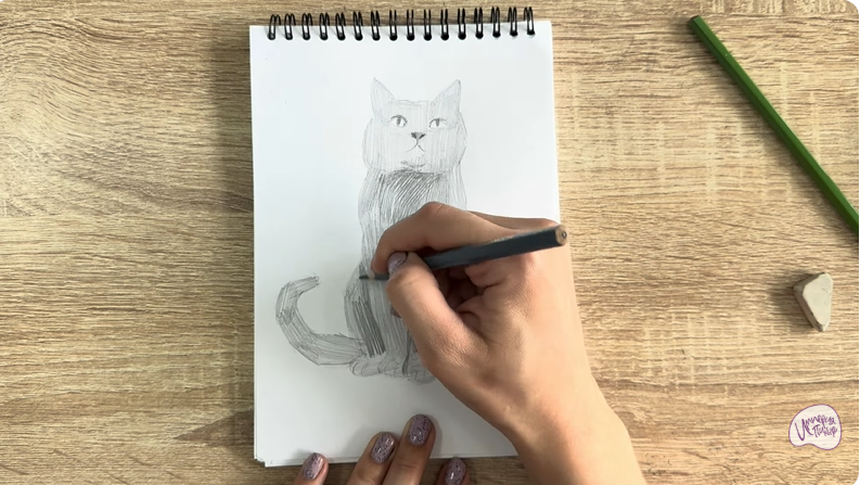 Рисуем Кот породы Шартрез