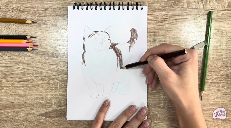 Рисуем Кошка породы "Манчкин"